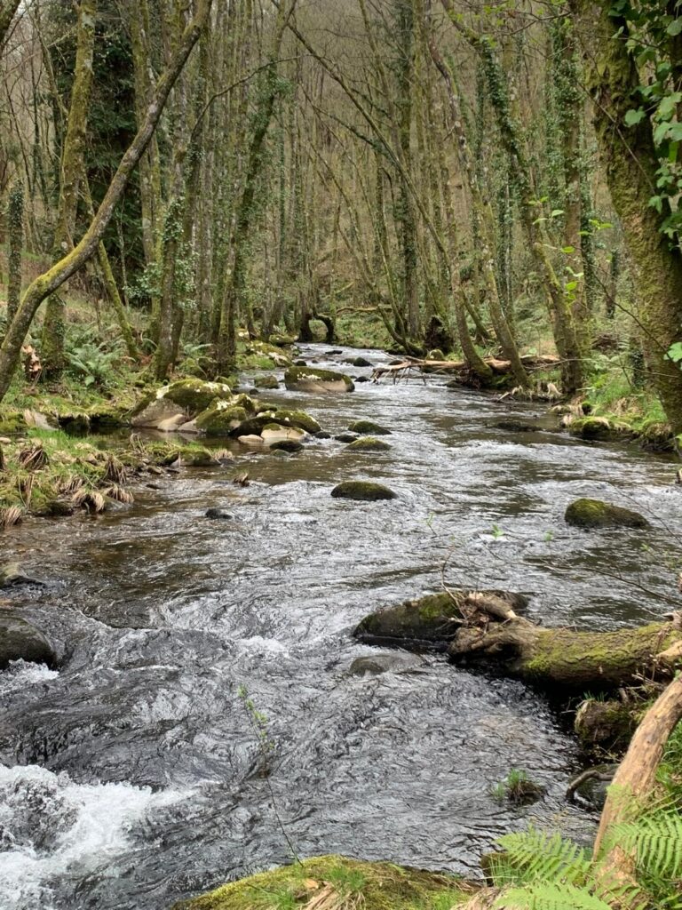 Fliegenfischer an einem Fluss in Galizien